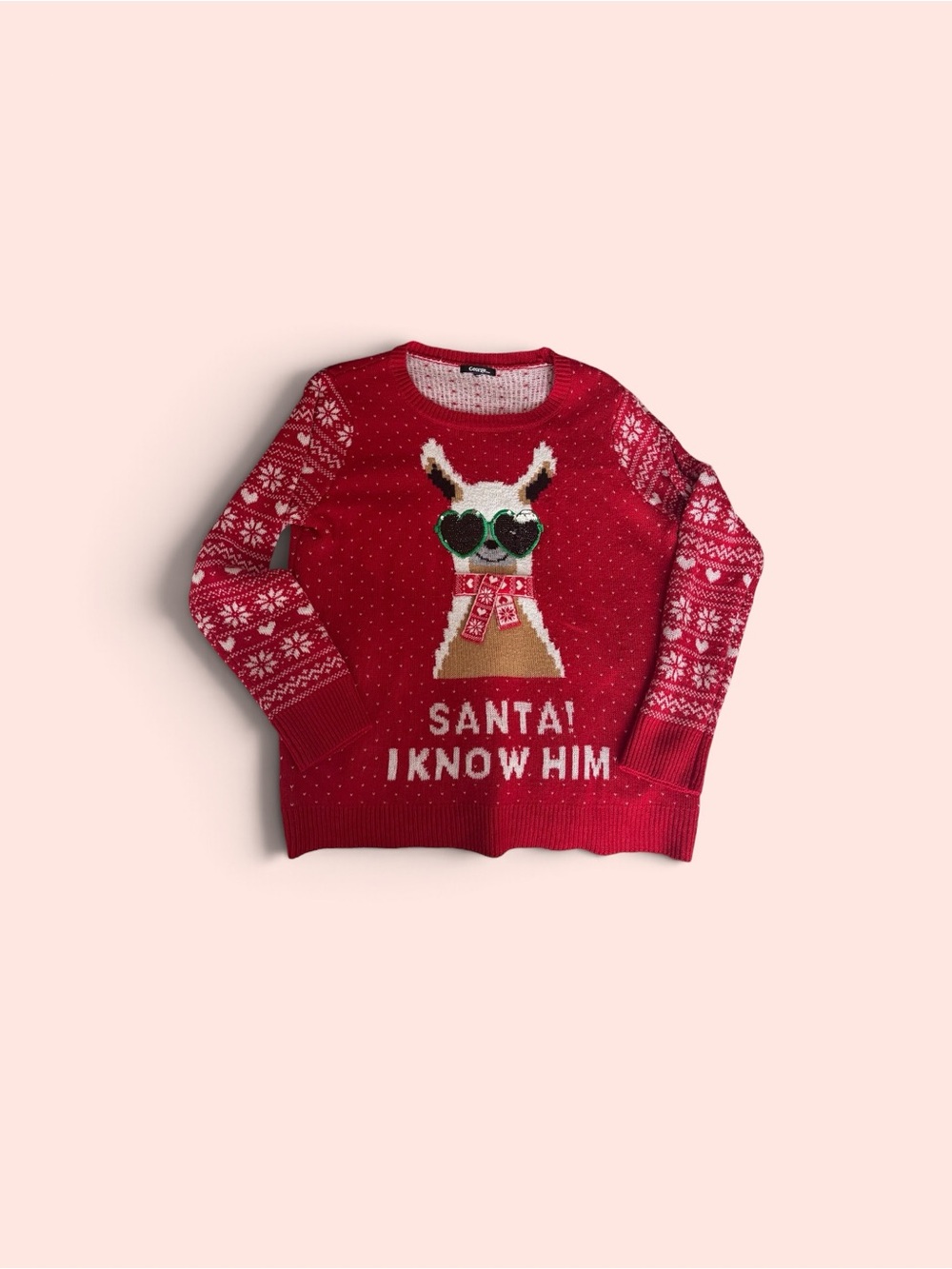 Holiday Llama Sweater with Sequins